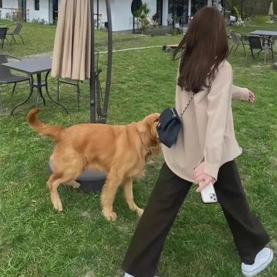 女警出更